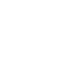 생존의 깃발